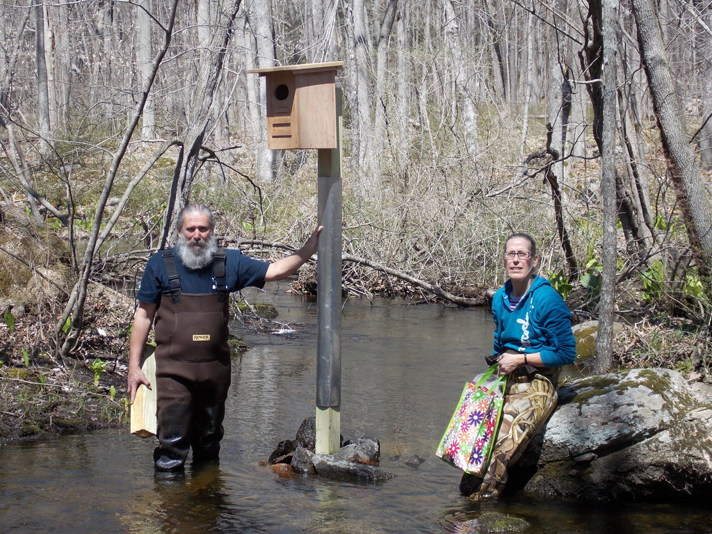 No description provided for: /2014/0419-duck-boxes/photo07.html