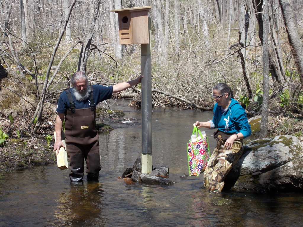 No description provided for: /2014/0419-duck-boxes/photo10.html