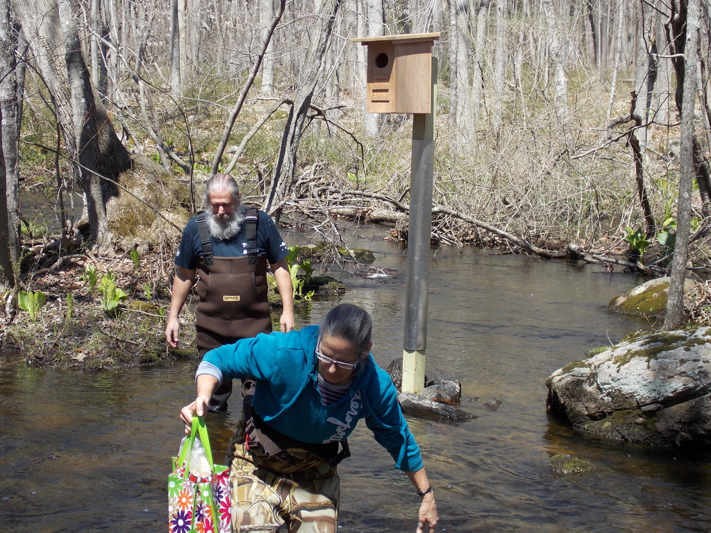 No description provided for: /2014/0419-duck-boxes/photo12.html