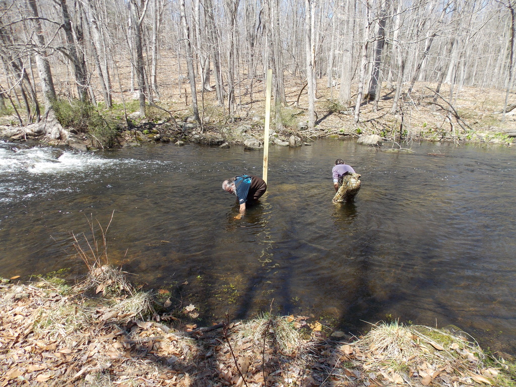 No description provided for: /2014/0419-duck-boxes/photo21.html