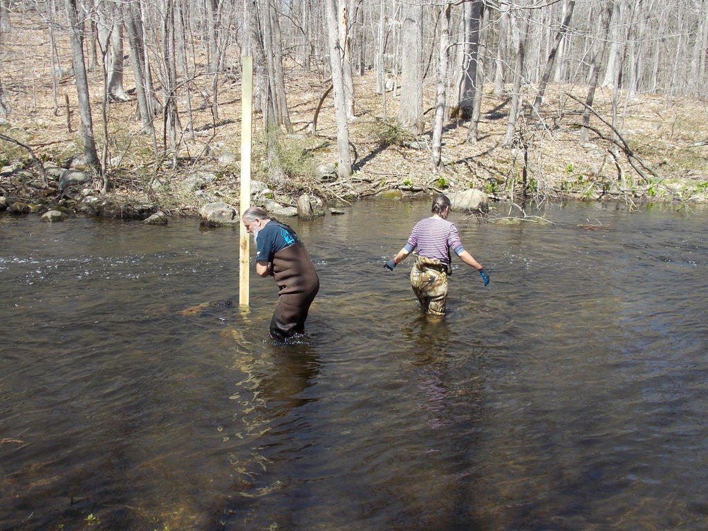 No description provided for: /2014/0419-duck-boxes/photo23.html