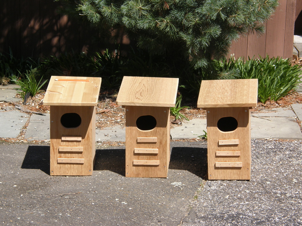 No description provided for: /2014/0419-more-duck-boxes/_1/photo01.html