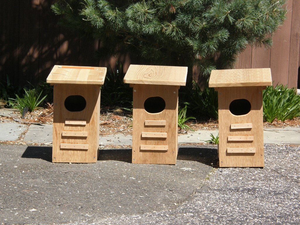 No description provided for: /2014/0419-more-duck-boxes/_1/photo02.html