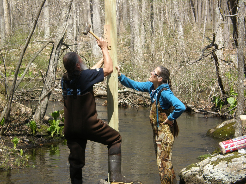 No description provided for: /2014/0419-more-duck-boxes/_1/photo04.html