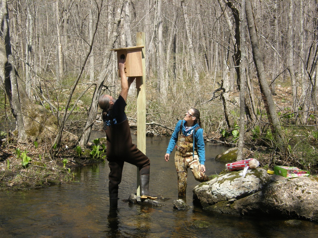 No description provided for: /2014/0419-more-duck-boxes/_1/photo06.html