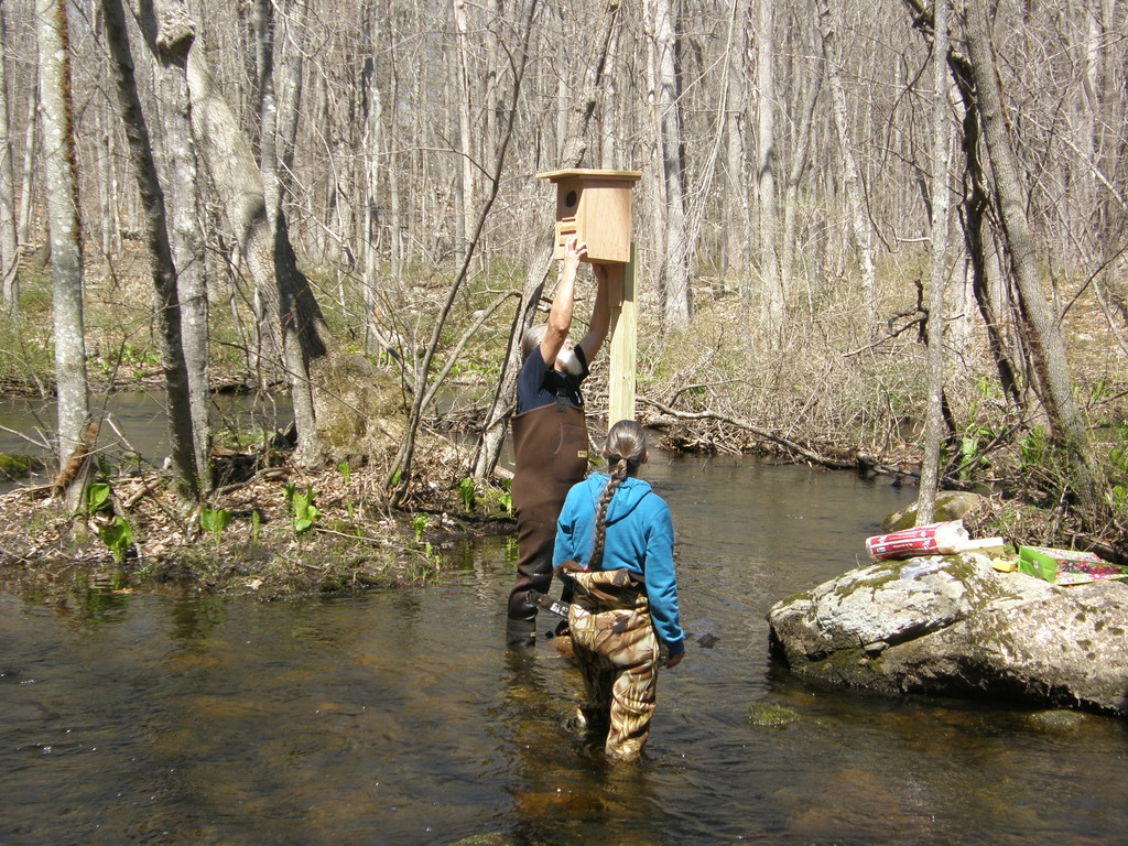 No description provided for: /2014/0419-more-duck-boxes/_1/photo10.html