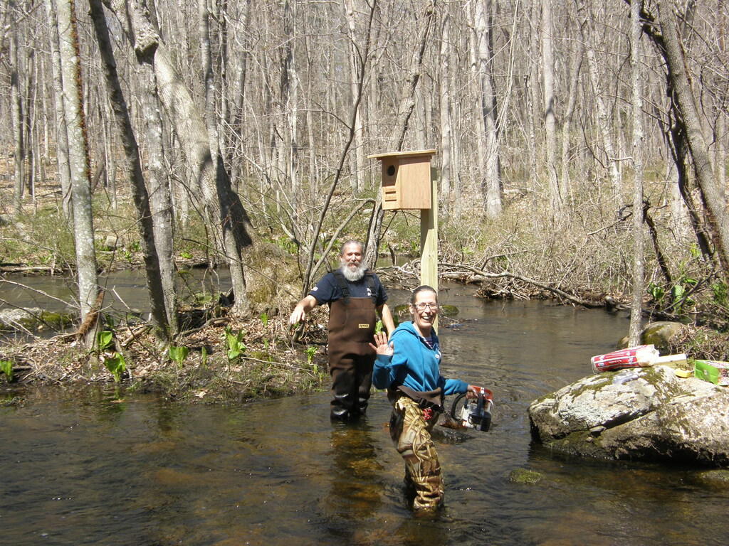 No description provided for: /2014/0419-more-duck-boxes/_1/photo11.html