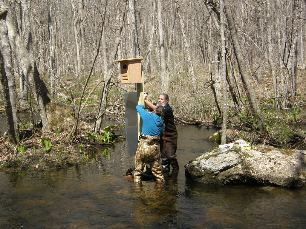 No description provided for: /2014/0419-more-duck-boxes/_1/photo12.html