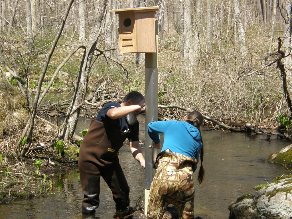 No description provided for: /2014/0419-more-duck-boxes/_1/photo14.html