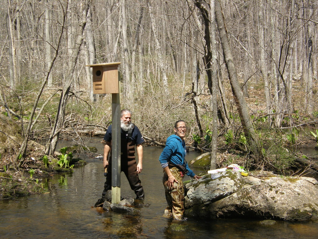 No description provided for: /2014/0419-more-duck-boxes/_1/photo17.html