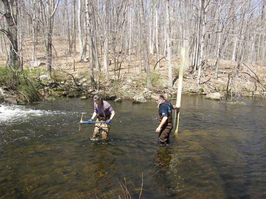 No description provided for: /2014/0419-more-duck-boxes/_1/photo18.html