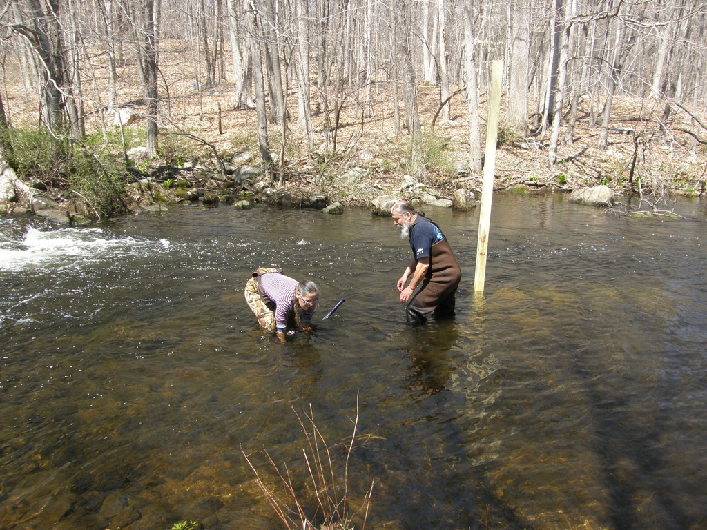 No description provided for: /2014/0419-more-duck-boxes/_1/photo20.html