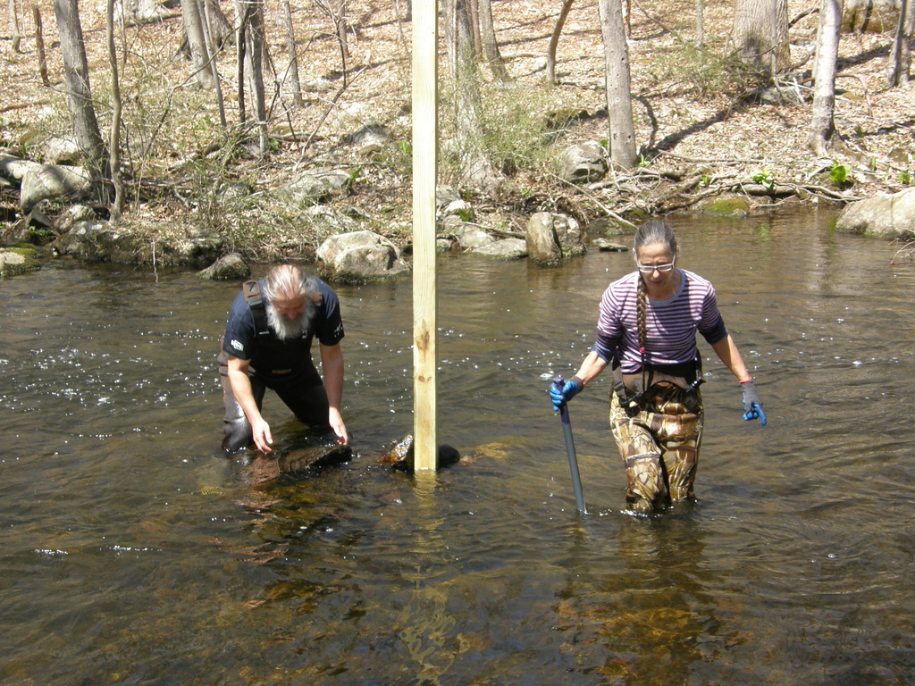 No description provided for: /2014/0419-more-duck-boxes/_2/photo25.html