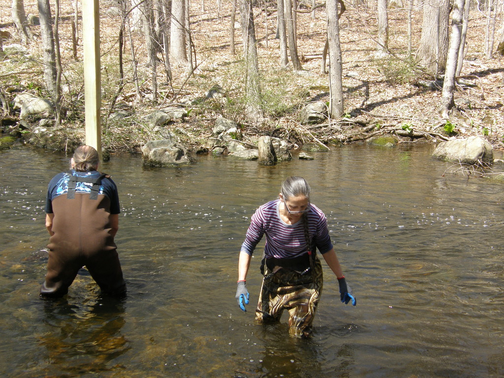 No description provided for: /2014/0419-more-duck-boxes/_2/photo26.html