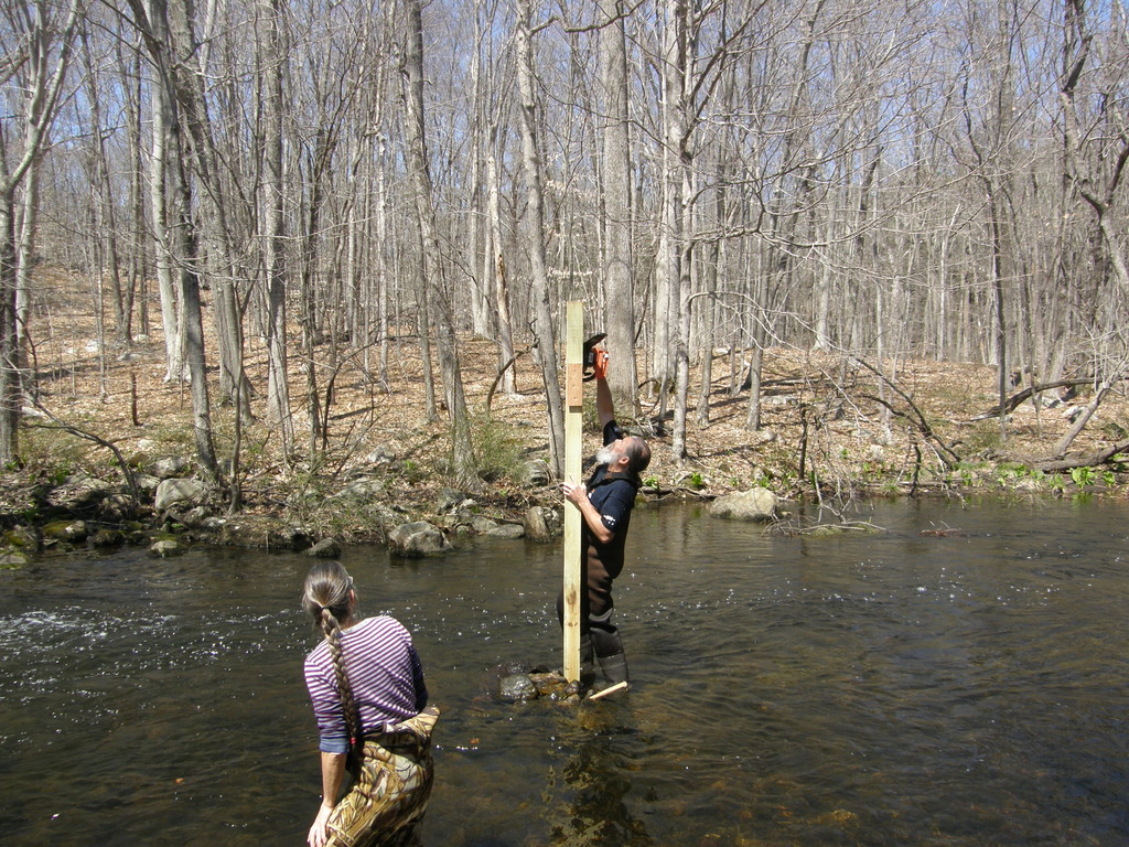 No description provided for: /2014/0419-more-duck-boxes/_2/photo30.html