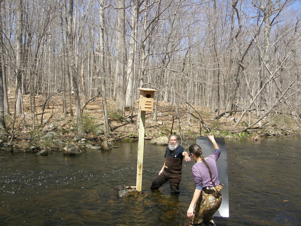 No description provided for: /2014/0419-more-duck-boxes/_2/photo32.html