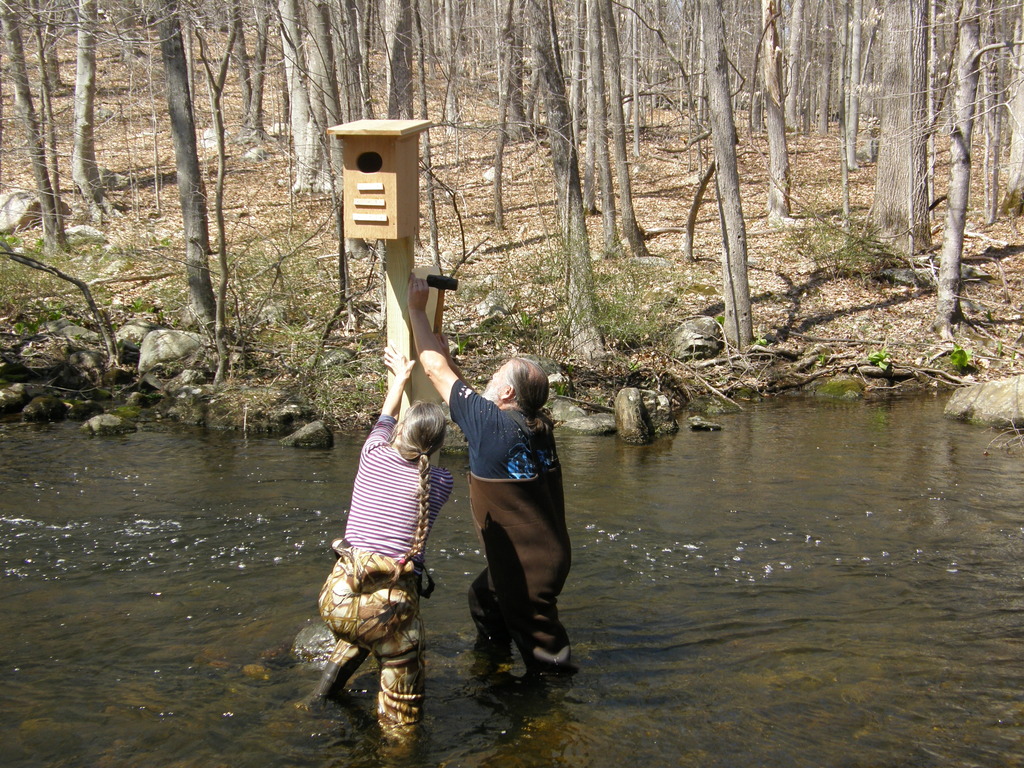 No description provided for: /2014/0419-more-duck-boxes/_2/photo33.html