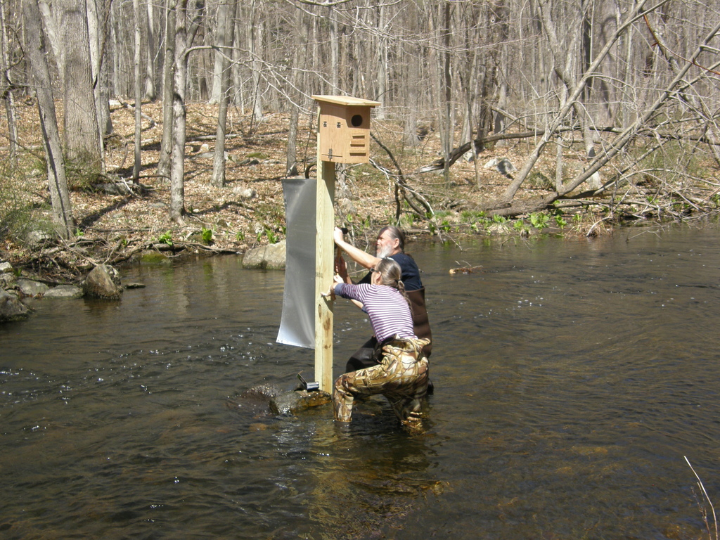 No description provided for: /2014/0419-more-duck-boxes/_2/photo34.html