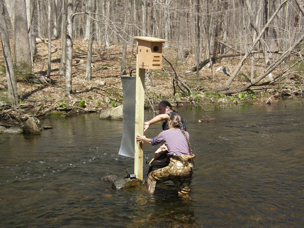 No description provided for: /2014/0419-more-duck-boxes/_2/photo35.html