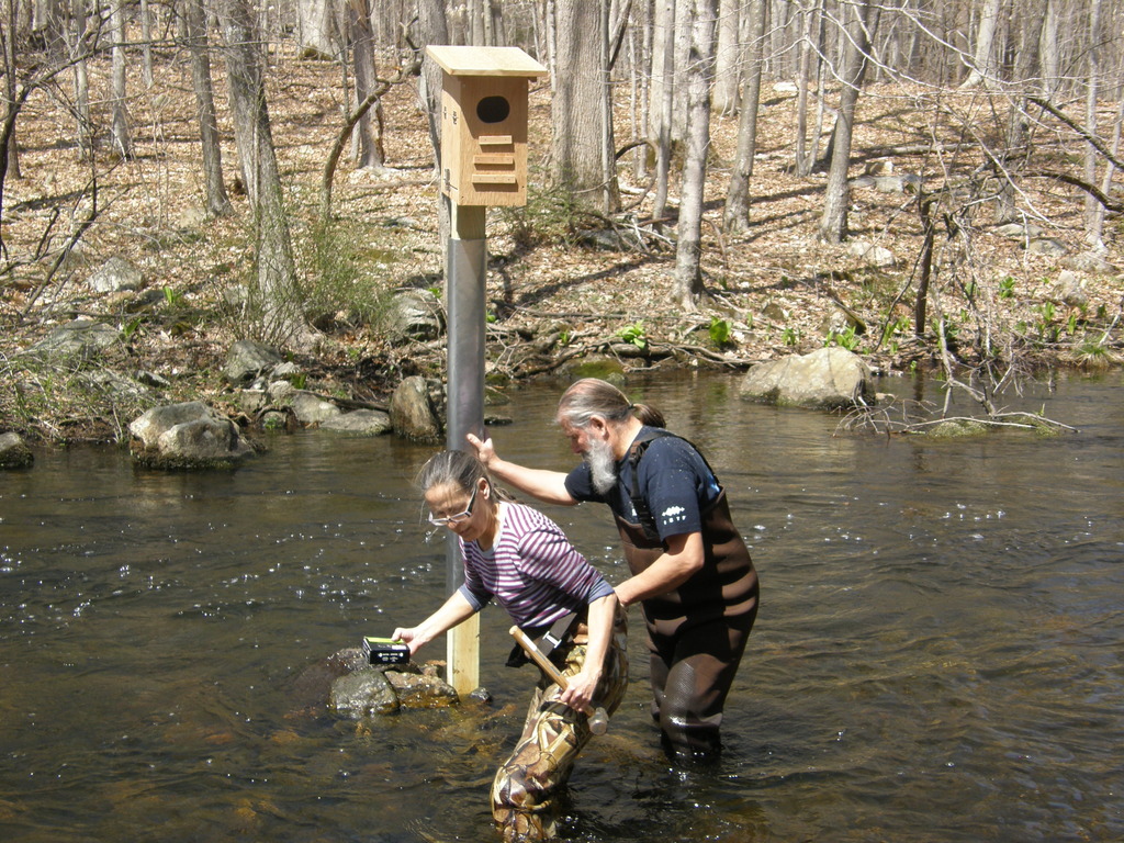 No description provided for: /2014/0419-more-duck-boxes/_2/photo38.html