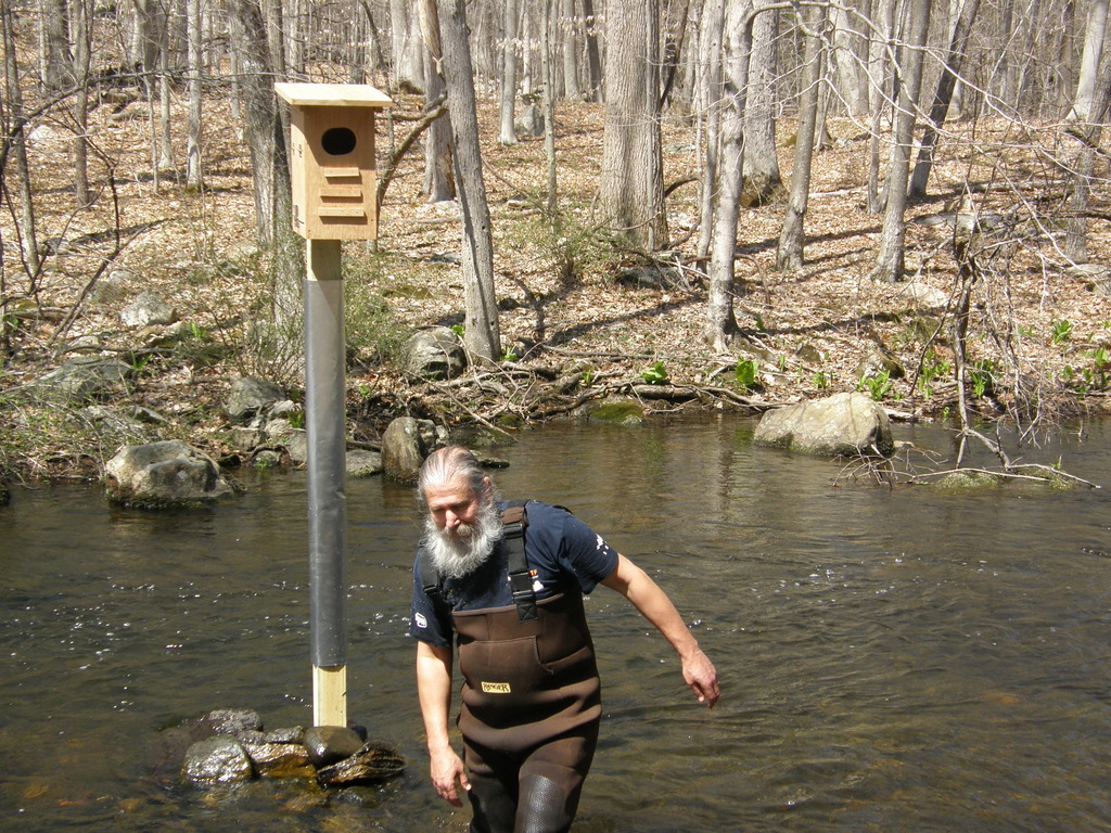 No description provided for: /2014/0419-more-duck-boxes/_2/photo39.html