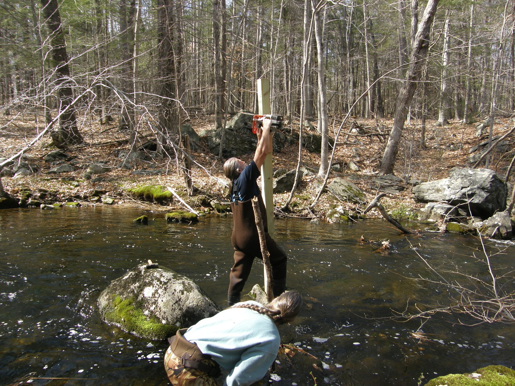 No description provided for: /2014/0419-more-duck-boxes/_2/photo41.html