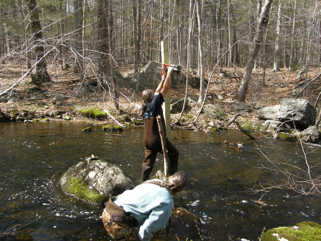 No description provided for: /2014/0419-more-duck-boxes/_2/photo42.html