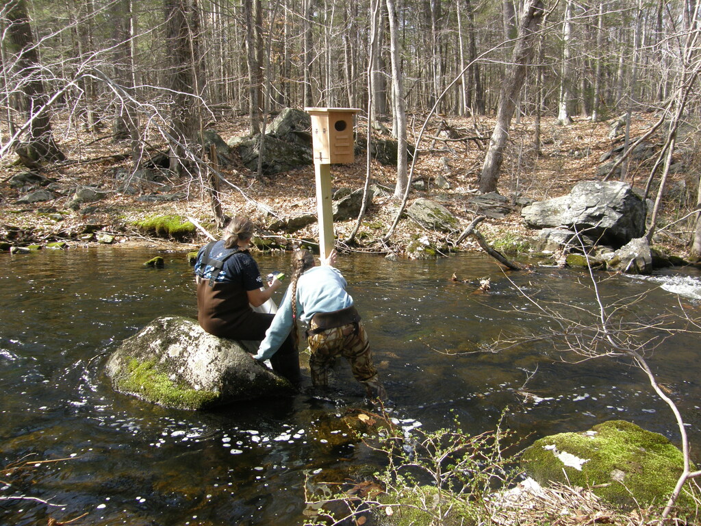 No description provided for: /2014/0419-more-duck-boxes/_2/photo44.html