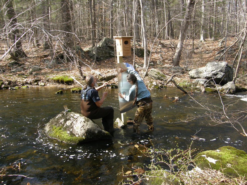 No description provided for: /2014/0419-more-duck-boxes/_3/photo45.html