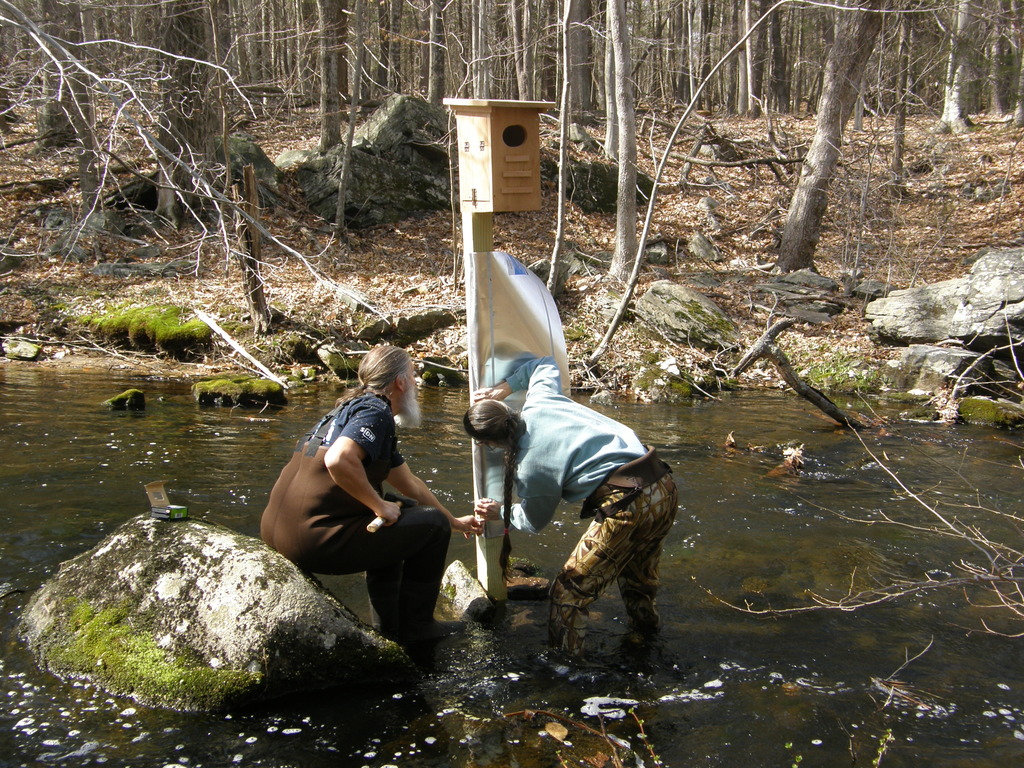 No description provided for: /2014/0419-more-duck-boxes/_3/photo47.html