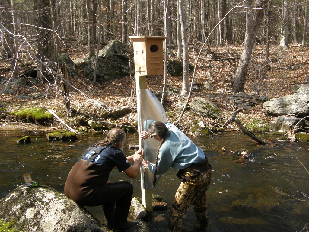 No description provided for: /2014/0419-more-duck-boxes/_3/photo48.html