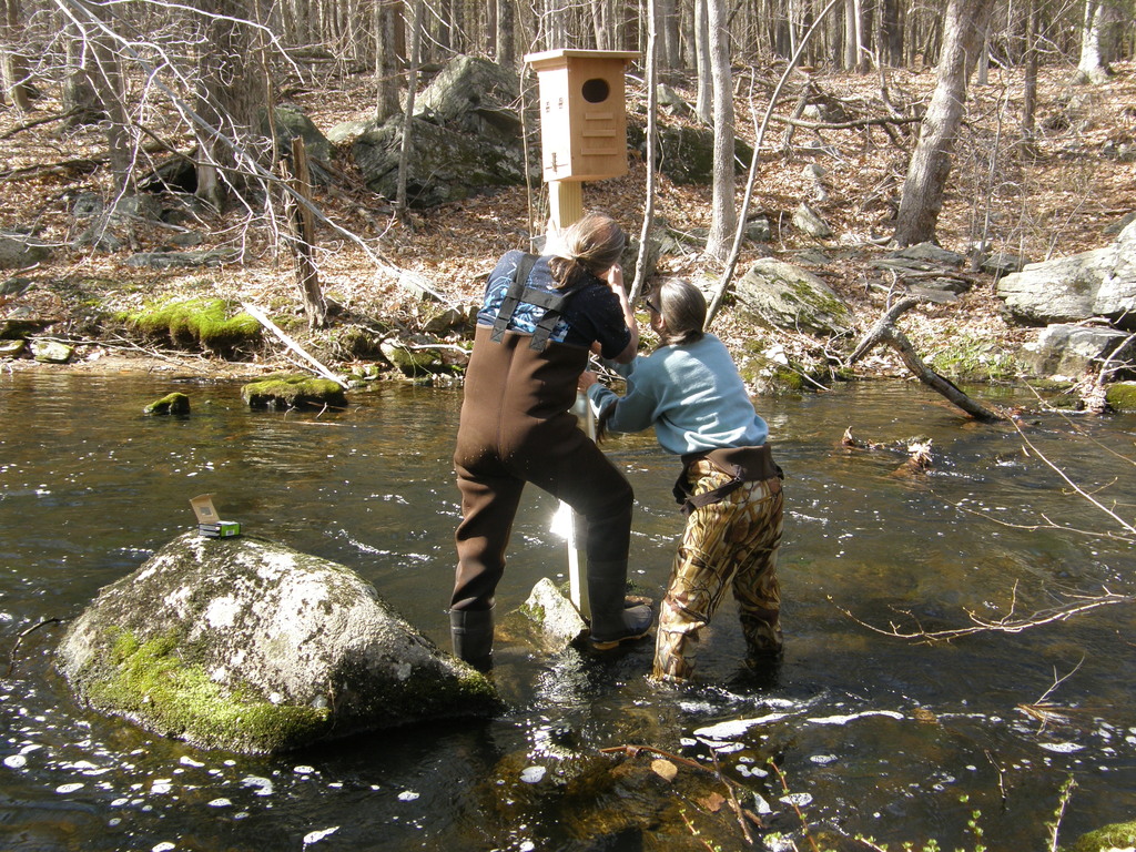 No description provided for: /2014/0419-more-duck-boxes/_3/photo52.html