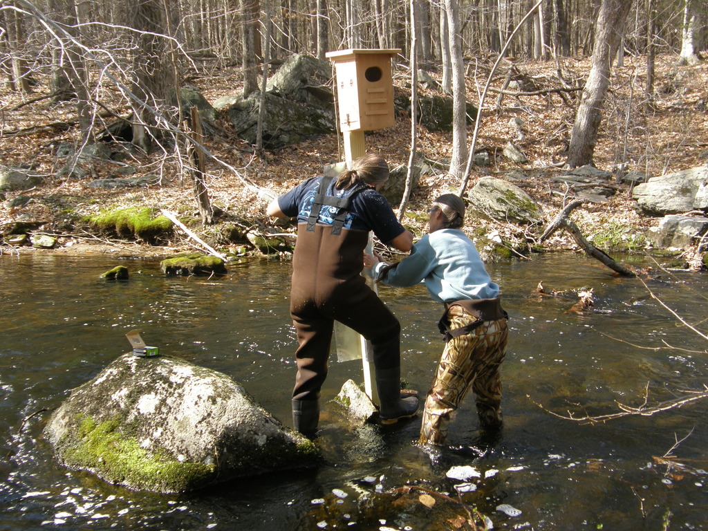 No description provided for: /2014/0419-more-duck-boxes/_3/photo53.html