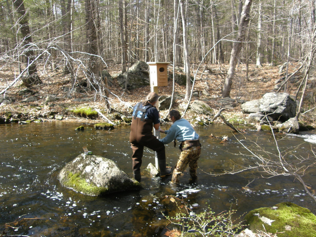 No description provided for: /2014/0419-more-duck-boxes/_3/photo54.html