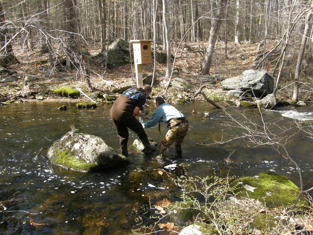 No description provided for: /2014/0419-more-duck-boxes/_3/photo55.html