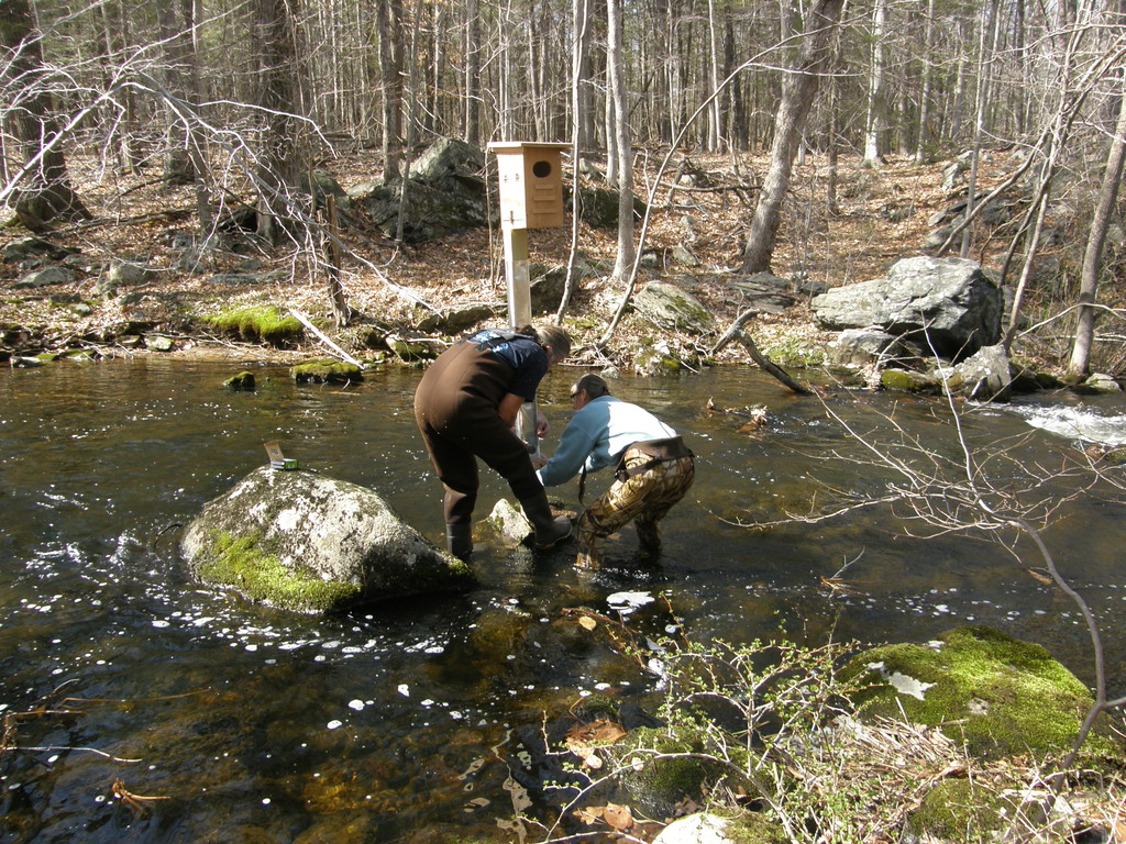 No description provided for: /2014/0419-more-duck-boxes/_3/photo56.html