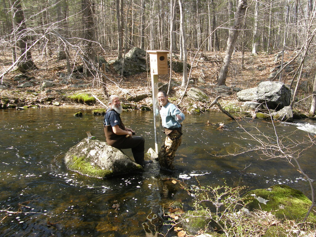 No description provided for: /2014/0419-more-duck-boxes/_3/photo57.html