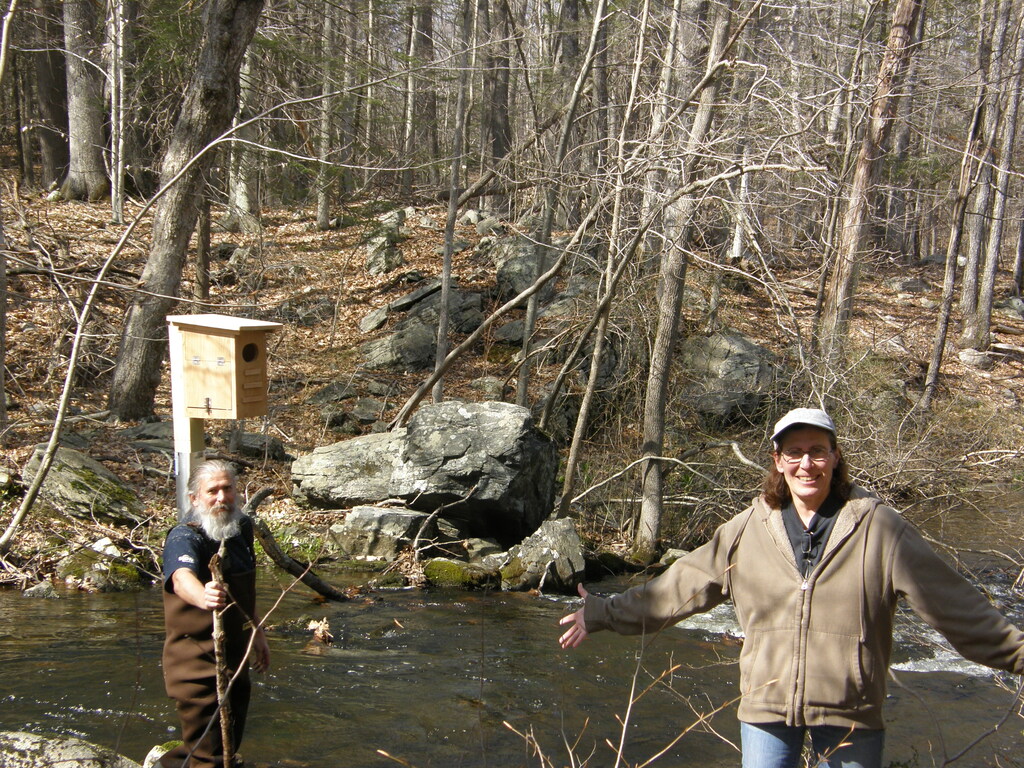 No description provided for: /2014/0419-more-duck-boxes/_3/photo61.html