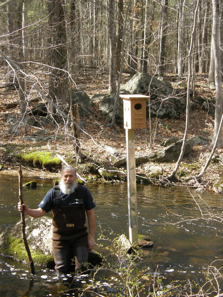 No description provided for: /2014/0419-more-duck-boxes/_3/photo66.html