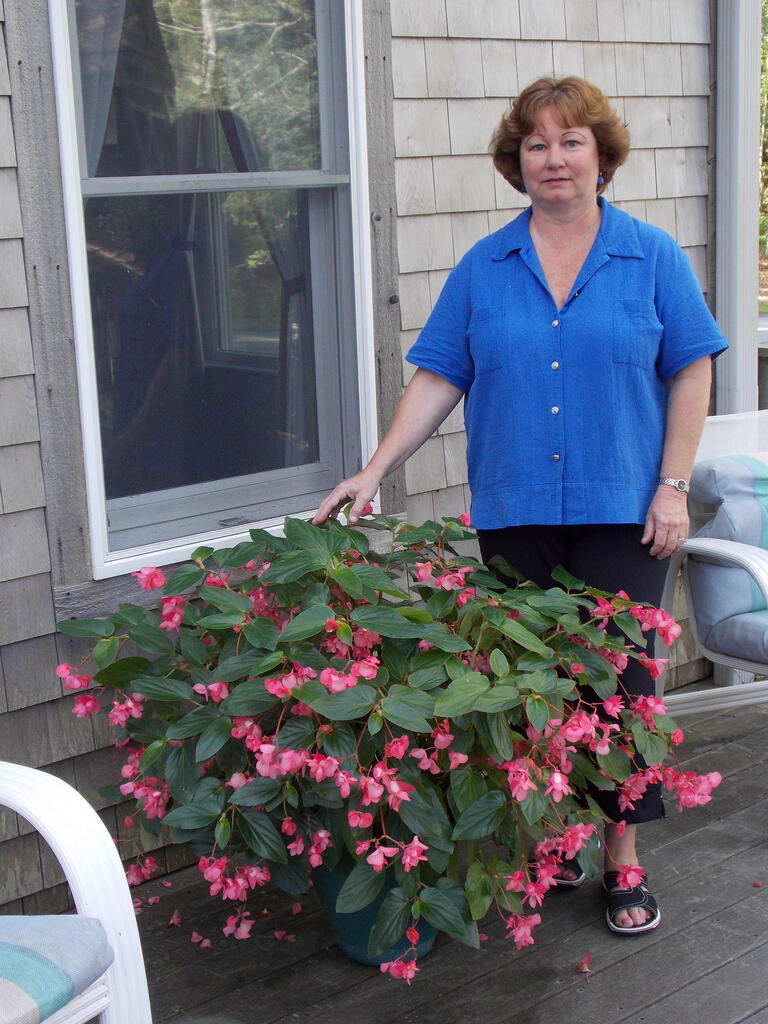 No description provided for: /2014/0911-deck-flowers/photo18.html