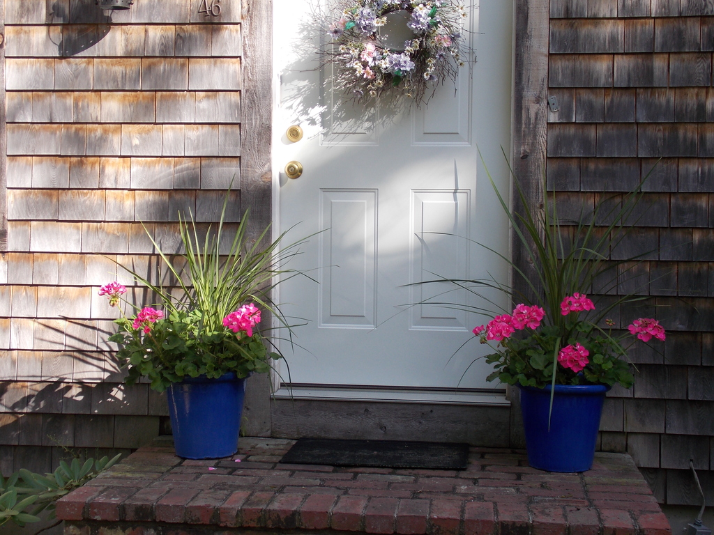 No description provided for: /2014/0911-deck-flowers/photo19.html