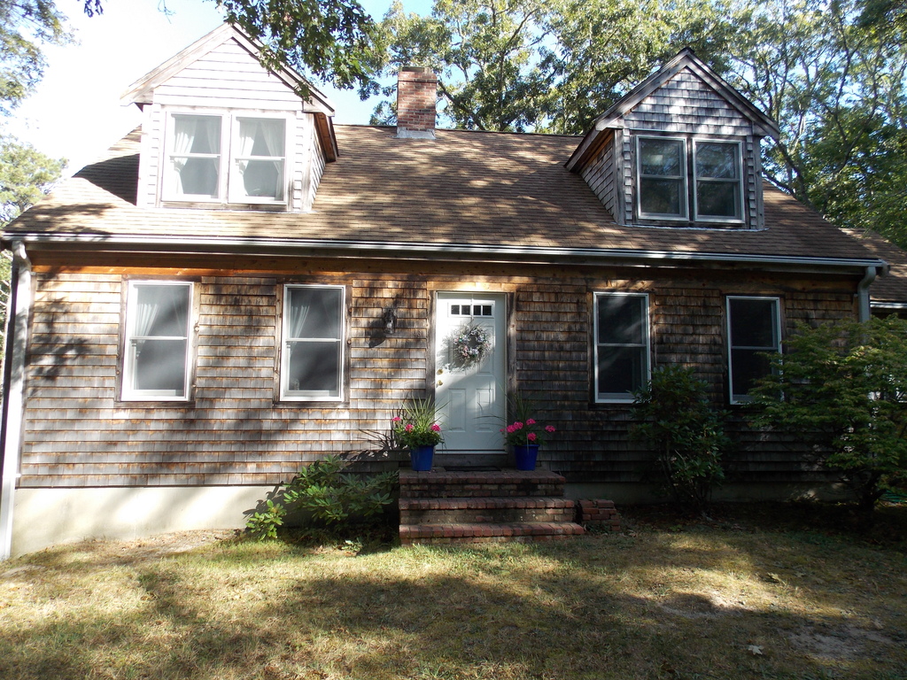 No description provided for: /2014/0911-deck-flowers/photo22.html