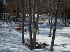 Image file: photo03.jpg