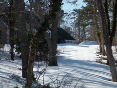 Image file: photo16.jpg