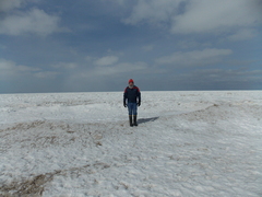 Image file: photo10.jpg