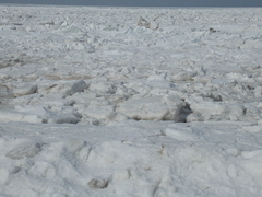 Image file: photo13.jpg