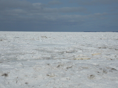 Image file: photo15.jpg