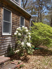 Image file: photo01.jpg