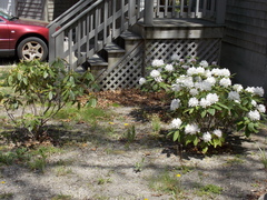 Image file: photo02.jpg