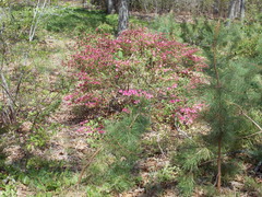 Image file: photo05.jpg